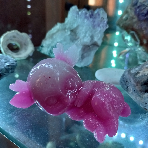 Meet your Posher, Maritza - Picture 1 of 1